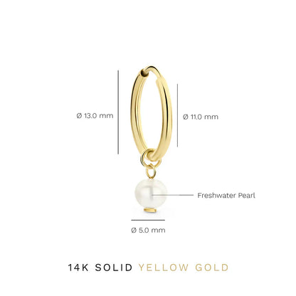 Delia Crest Signature Earrings – Gold